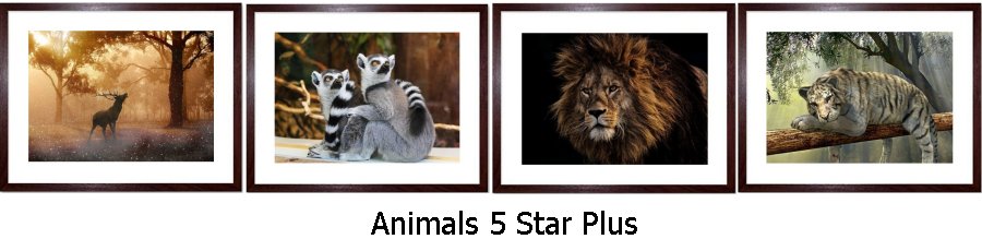 Animals 5 Star Plus Framed Prints
